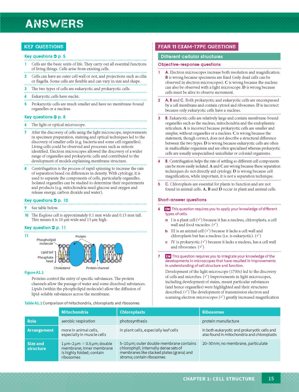 Sample page from the Excel Year 11 Biology Study Guide, as shown in the Pascal Press product gallery