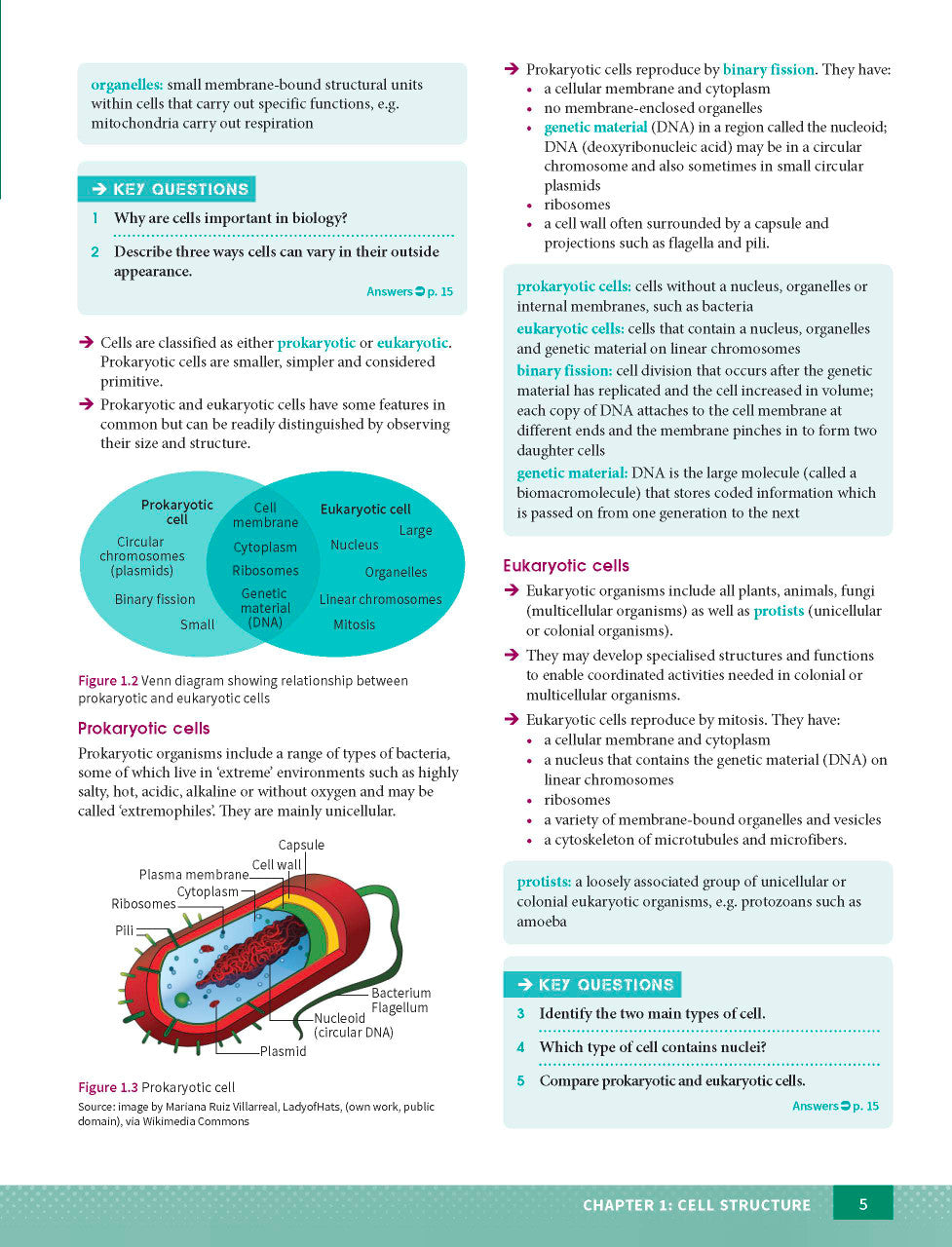 Sample page from the Excel Year 11 Biology Study Guide, as shown in the Pascal Press product gallery