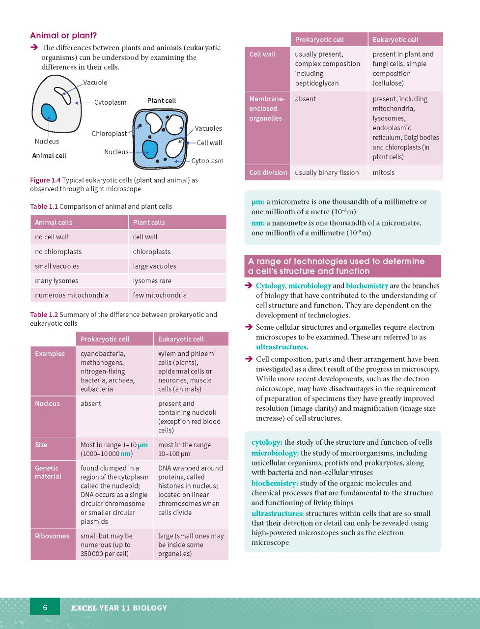 Sample page from the Excel Year 11 Biology Study Guide, as shown in the Pascal Press product gallery