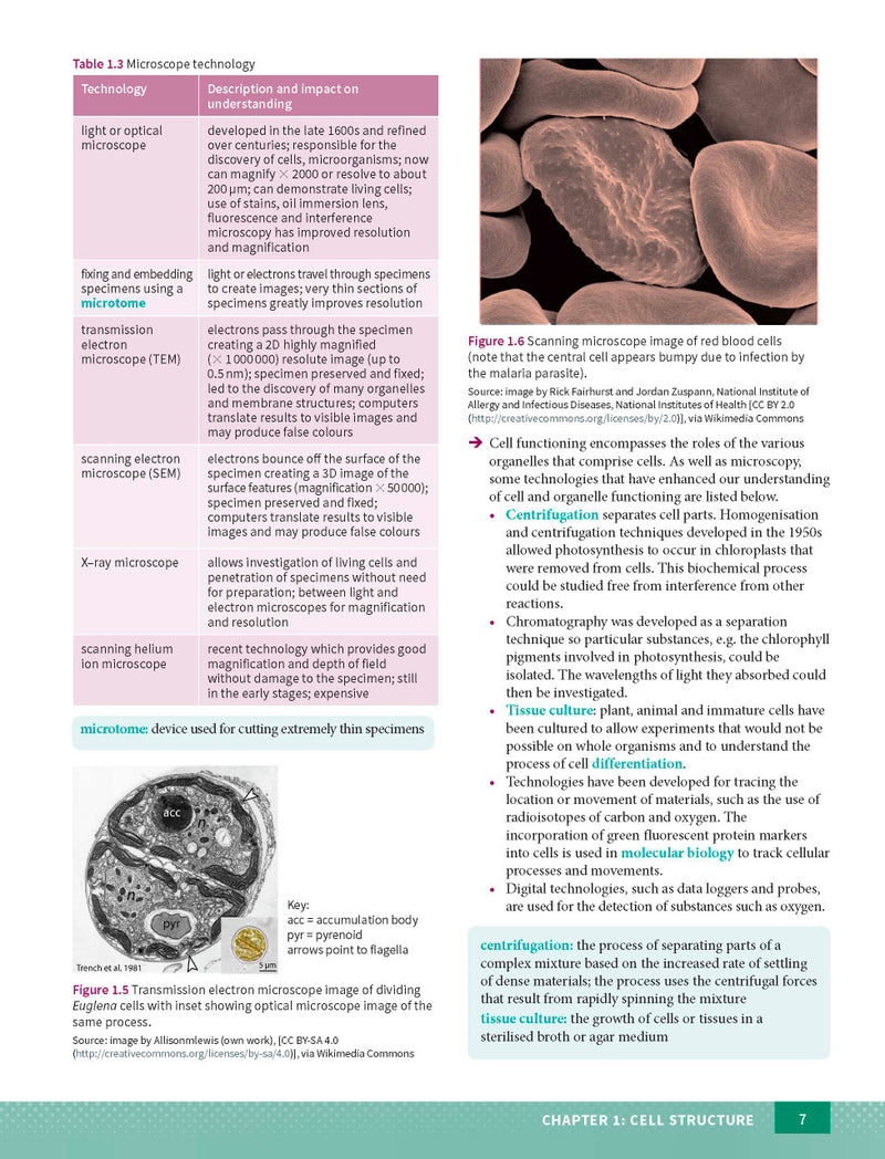 Sample page from the Excel Year 11 Biology Study Guide, as shown in the Pascal Press product gallery