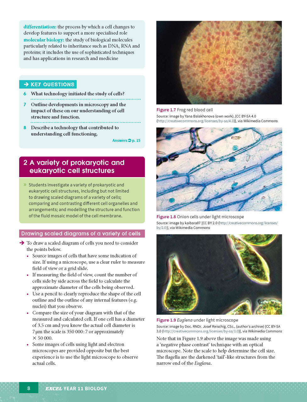 Sample page from the Excel Year 11 Biology Study Guide, as shown in the Pascal Press product gallery