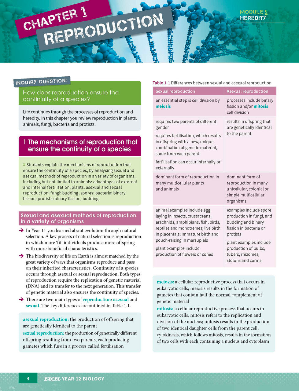 Sample interior page from Excel Year 12 Biology Study Guide as shown in the Pascal Press product gallery