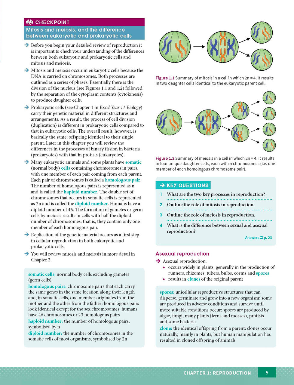 Sample interior page from Excel Year 12 Biology Study Guide as shown in the Pascal Press product gallery