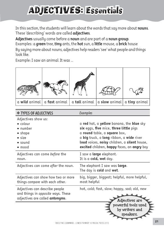 Sample inside page 21 of Targeting Grammar Teacher's Guide Lower Primary, shown in the publisher's preview gallery