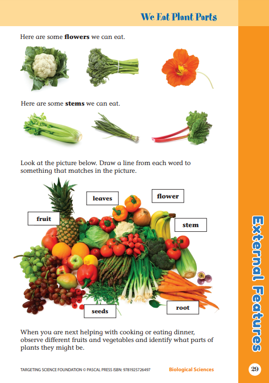 Sample interior activity page from the Targeting Science Foundation science activity book, from the publisher preview gallery