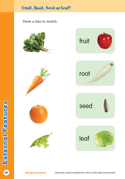 Sample interior activity page from the Targeting Science Foundation science activity book, from the publisher preview gallery