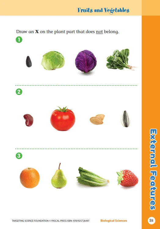 Sample interior activity page from the Targeting Science Foundation science activity book, from the publisher preview gallery