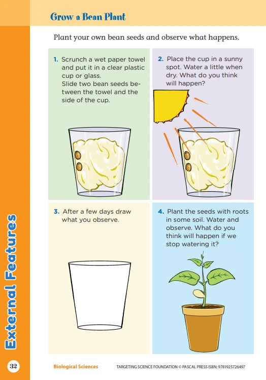 Sample interior activity page from the Targeting Science Foundation science activity book, from the publisher preview gallery
