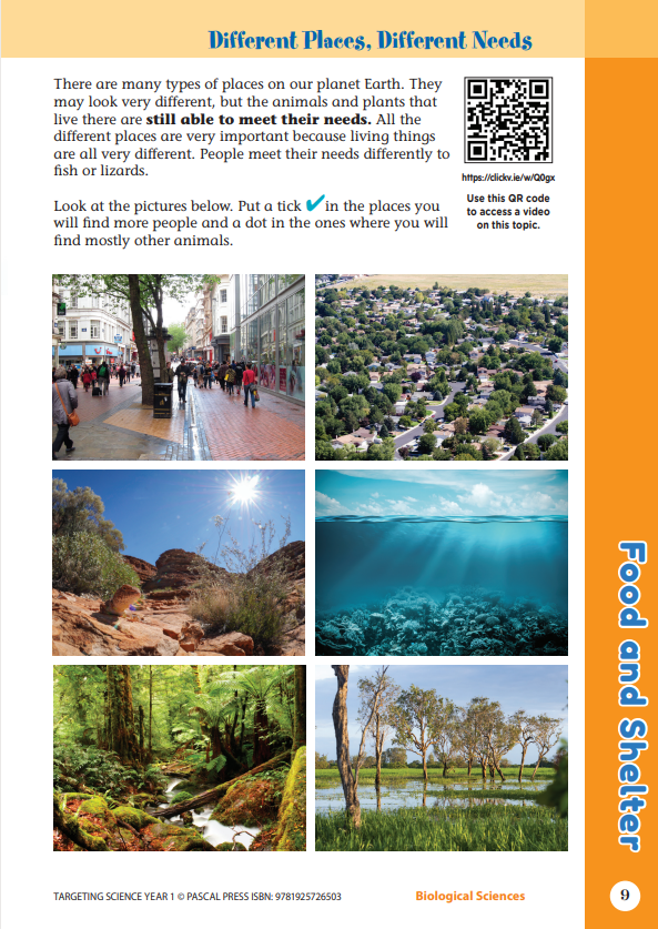 Sample interior activity page from the Targeting Science Year 1 science activity book, from the publisher preview gallery
