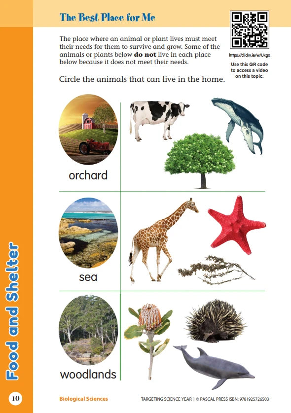 Sample interior activity page from the Targeting Science Year 1 science activity book, from the publisher preview gallery