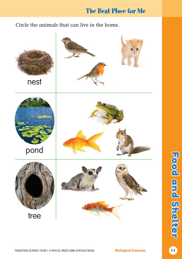 Sample interior activity page from the Targeting Science Year 1 science activity book, from the publisher preview gallery