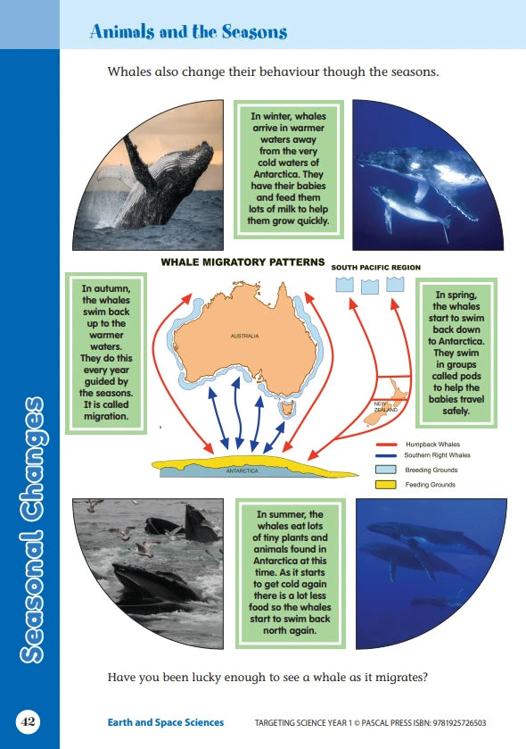 Sample interior activity page from the Targeting Science Year 1 science activity book, from the publisher preview gallery
