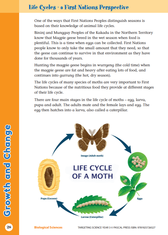 Sample interior activity page from the Targeting Science Year 3 science activity book, from the publisher preview gallery