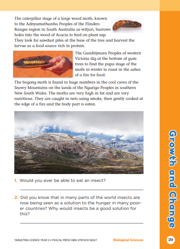 Sample interior activity page from the Targeting Science Year 3 science activity book, from the publisher preview gallery