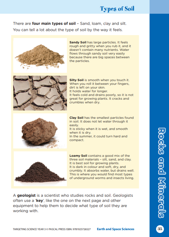 Sample interior activity page from the Targeting Science Year 3 science activity book, from the publisher preview gallery