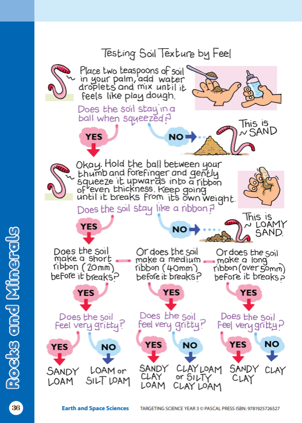 Sample interior activity page from the Targeting Science Year 3 science activity book, from the publisher preview gallery