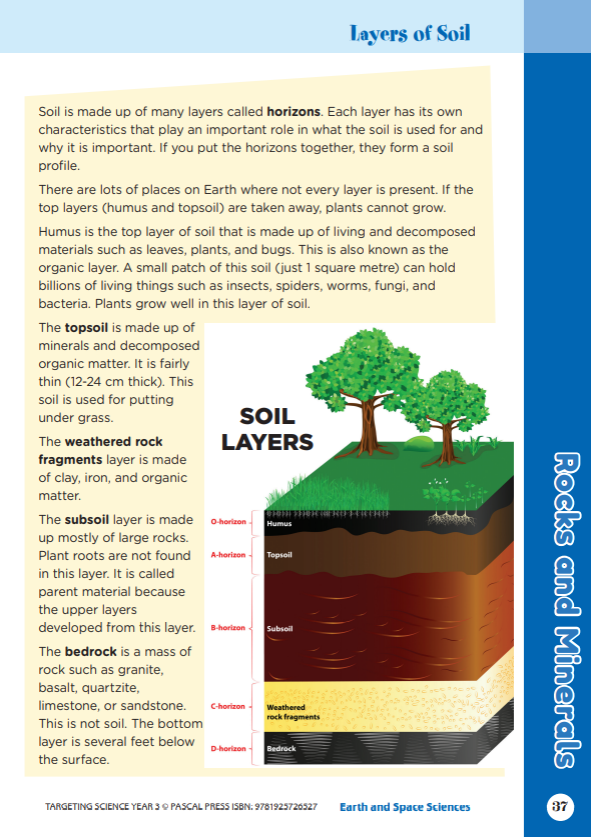 Sample interior activity page from the Targeting Science Year 3 science activity book, from the publisher preview gallery