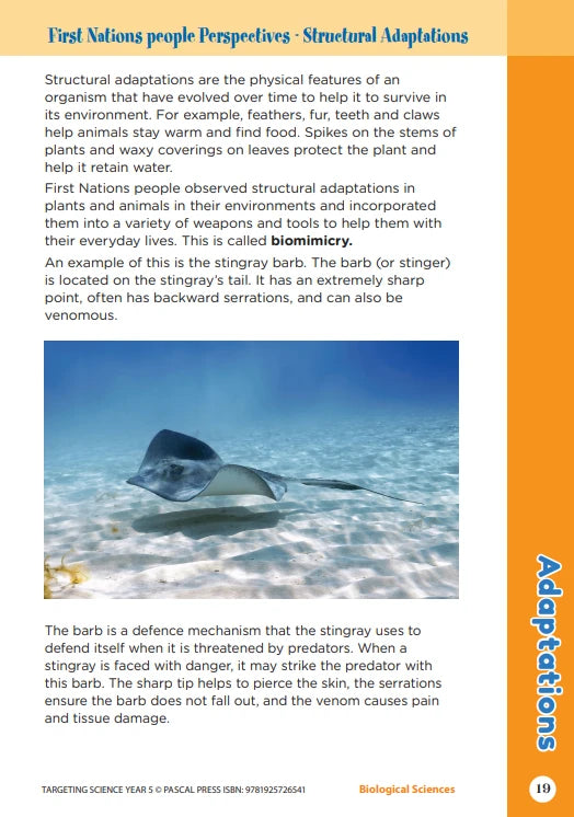 Sample interior activity page from the Targeting Science Year 5 science activity book, from the publisher preview gallery