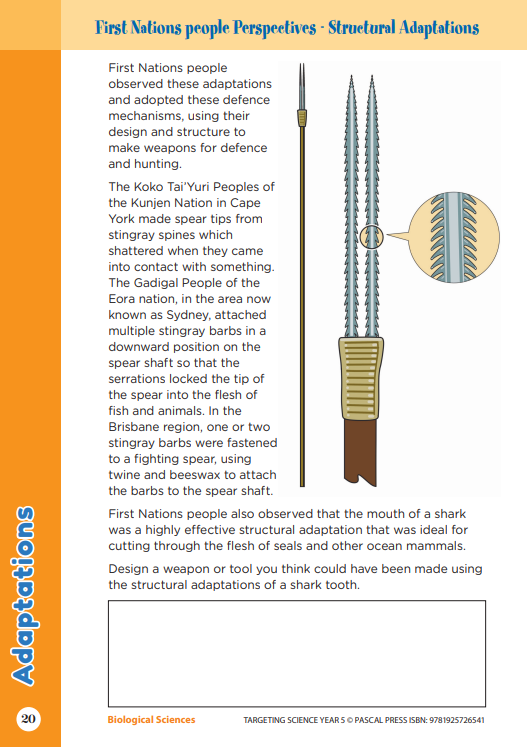 Sample interior activity page from the Targeting Science Year 5 science activity book, from the publisher preview gallery