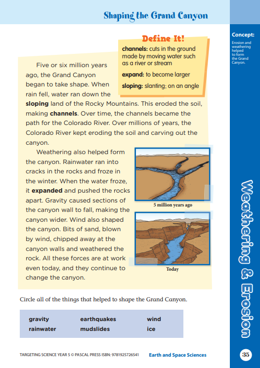Sample interior activity page from the Targeting Science Year 5 science activity book, from the publisher preview gallery