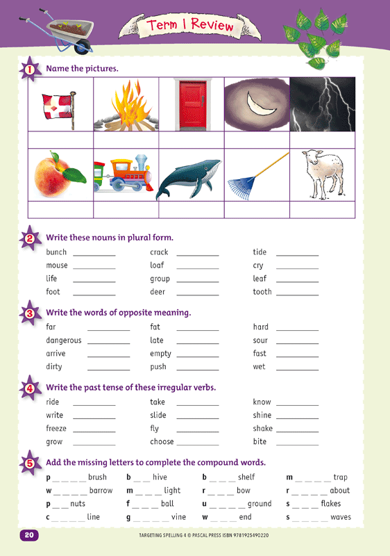Interior sample page 20 from Targeting Spelling Activity Book 4 showing spelling activities for Year 4 students