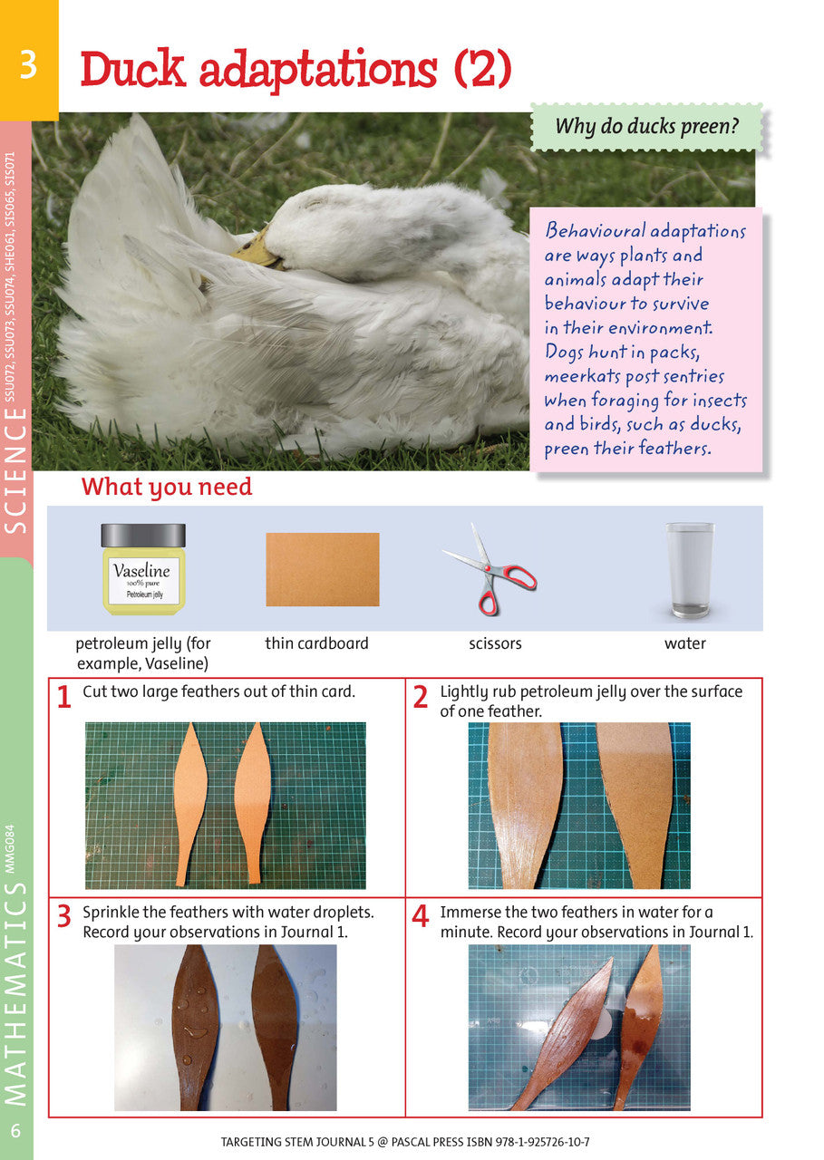 Sample interior page from Targeting STEM Year 5 showing part of a STEM project and its journal page