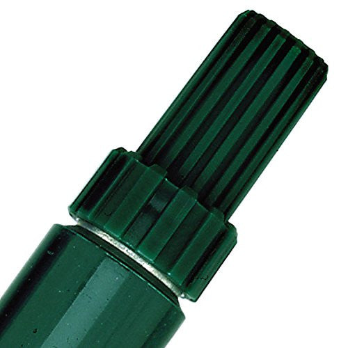 Box of 12 Pentel N50 green permanent markers arranged on white background