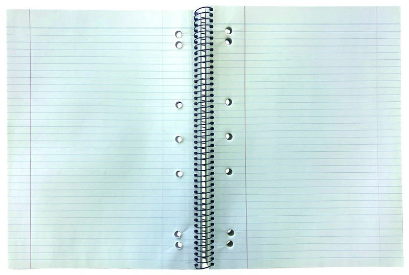 Protext 3 subject notebook lying open across two lined pages, with punched binder holes running down both sides of the black wire spiral