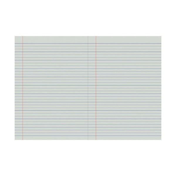 Protext 14mm dotted thirds book lying open, both pages lined across with a red margin line near the left edge of each page