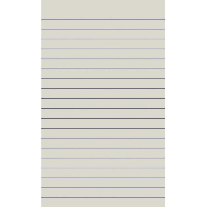 Artwork of a Protext memo book page showing evenly spaced blue horizontal lines on grey tinted paper, the 8mm feint ruling inside