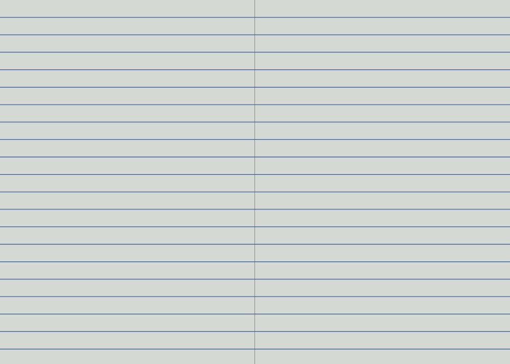 Protext 12mm single ruled interior spread showing widely spaced single blue lines across both pages