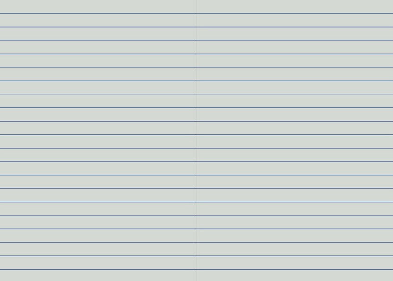 Protext 12mm single ruled interior spread showing widely spaced single blue lines across both pages