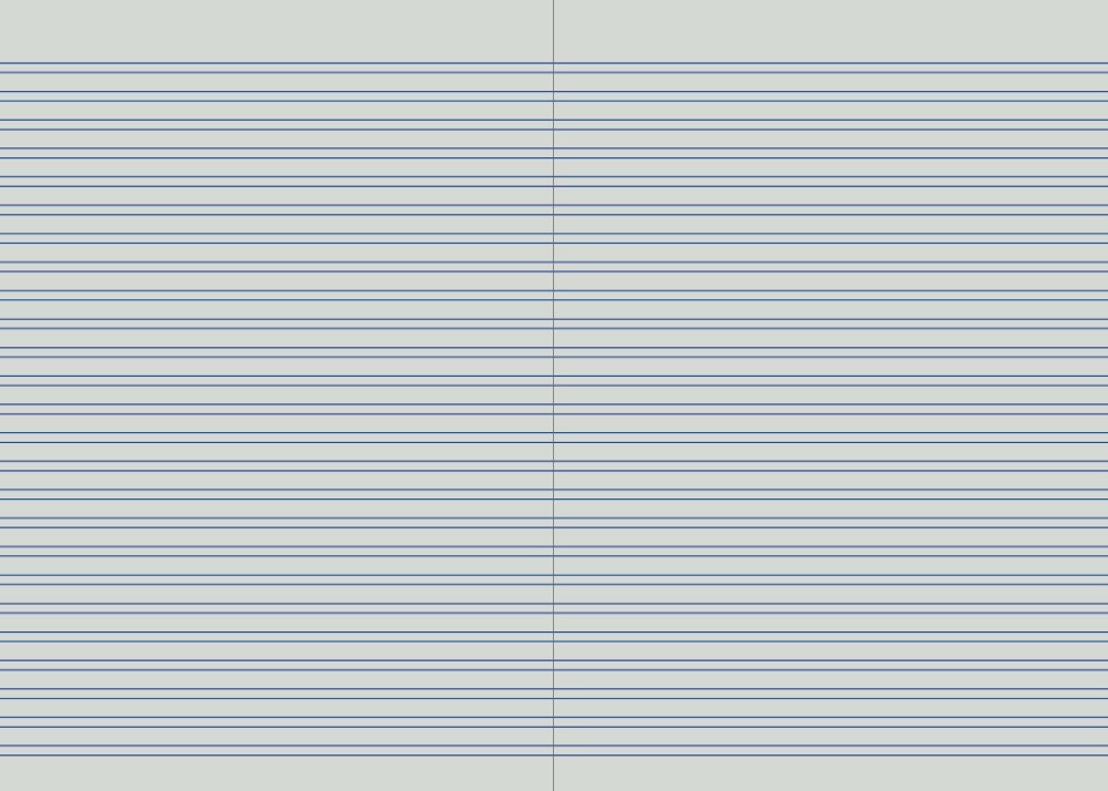 Open Protext 3mm double ruled notebook spread showing blue lines printed in close pairs across both pages