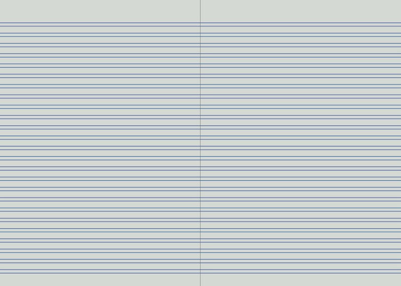 Open Protext 3mm double ruled notebook spread showing blue lines printed in close pairs across both pages