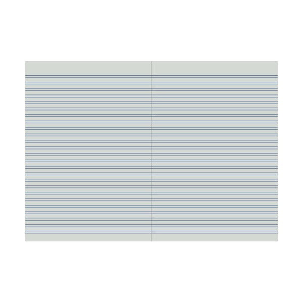 Protext 3mm double ruled notebook pages shown open with paired blue lines on a grey page tone
