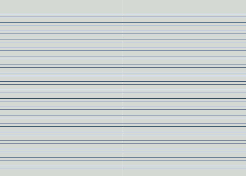Protext 4mm double ruled interior spread with pairs of solid blue lines running across a left and right page