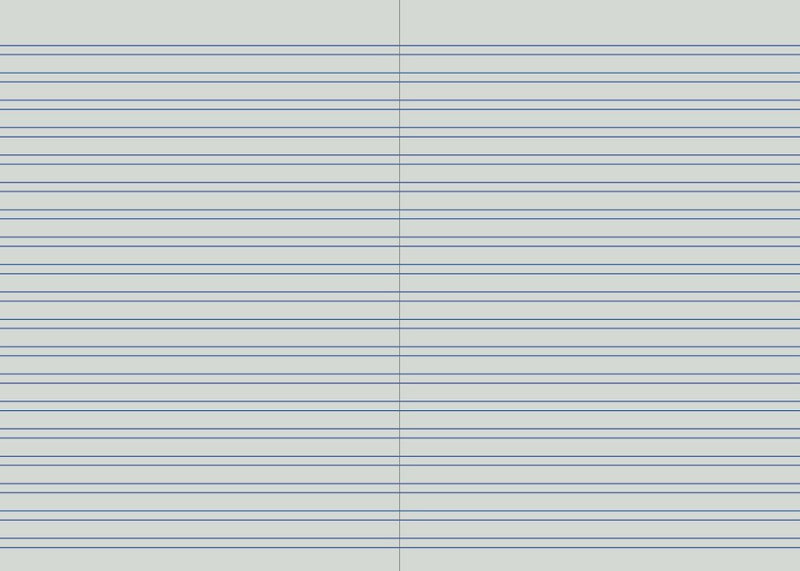 Protext 4mm double ruled interior spread with pairs of solid blue lines running across a left and right page
