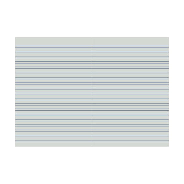 Open Protext navy notebook pages with 4mm double ruled lines and a centre gutter line