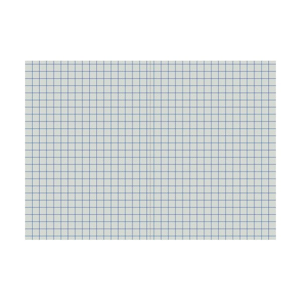 Protext 10mm grid notebook open flat, both pages covered edge to edge in a square grid of fine blue lines