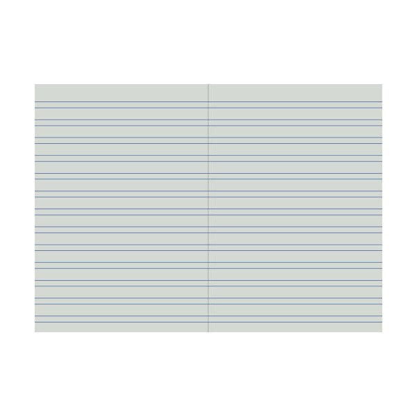 Open pages of a Protext 6mm double ruled student notebook with paired lines and a centre fold line