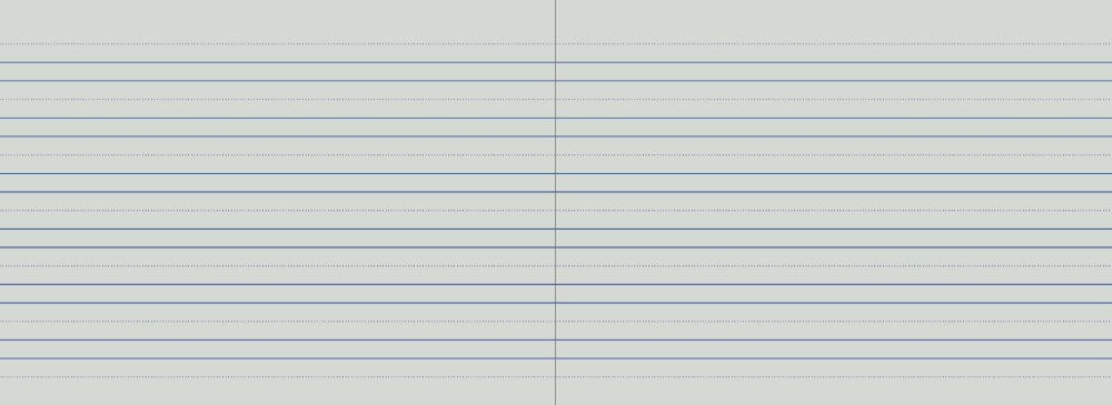 Landscape Protext 8mm double ruled with guide spread with dotted guide lines above pairs of solid blue lines