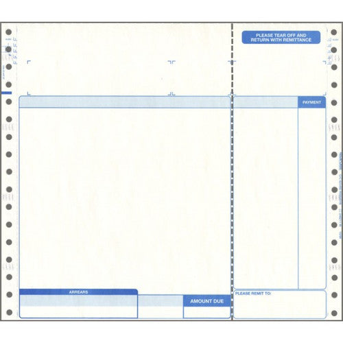 Bala Sybiz Statement Continuous Business Forms 216 x 250mm Box of 1000