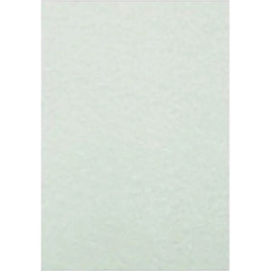 Rainbow sage parchment board, a single pale green sheet with light mottled parchment texture, photographed flat in portrait orientation on a plain white background
