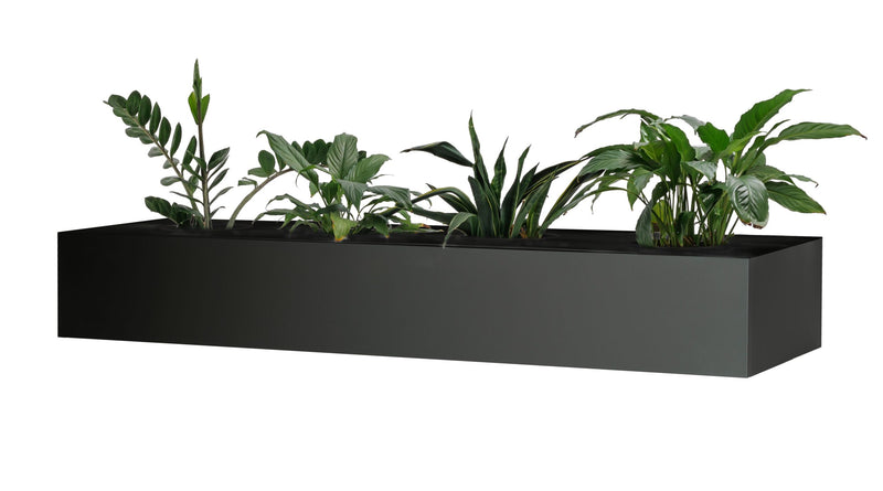Black Rapidline Go planter box planted with leafy indoor plants, shown on its own from the front.