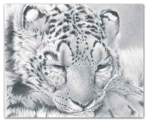 Derwent Watersoluble Sketching Pencil Light Wash HB Box of 12