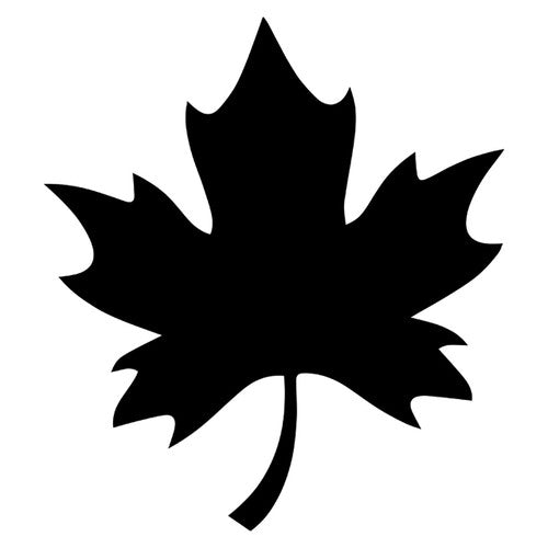Creative School Supply Scratch Leaves Pack of 24