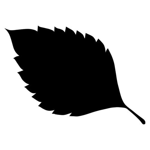 Creative School Supply Scratch Leaves Pack of 24