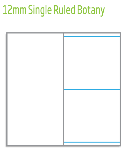 Olympic NSW Student Notebook Single Ruled 12mm Light Blue 250 x 175mm Box of 20