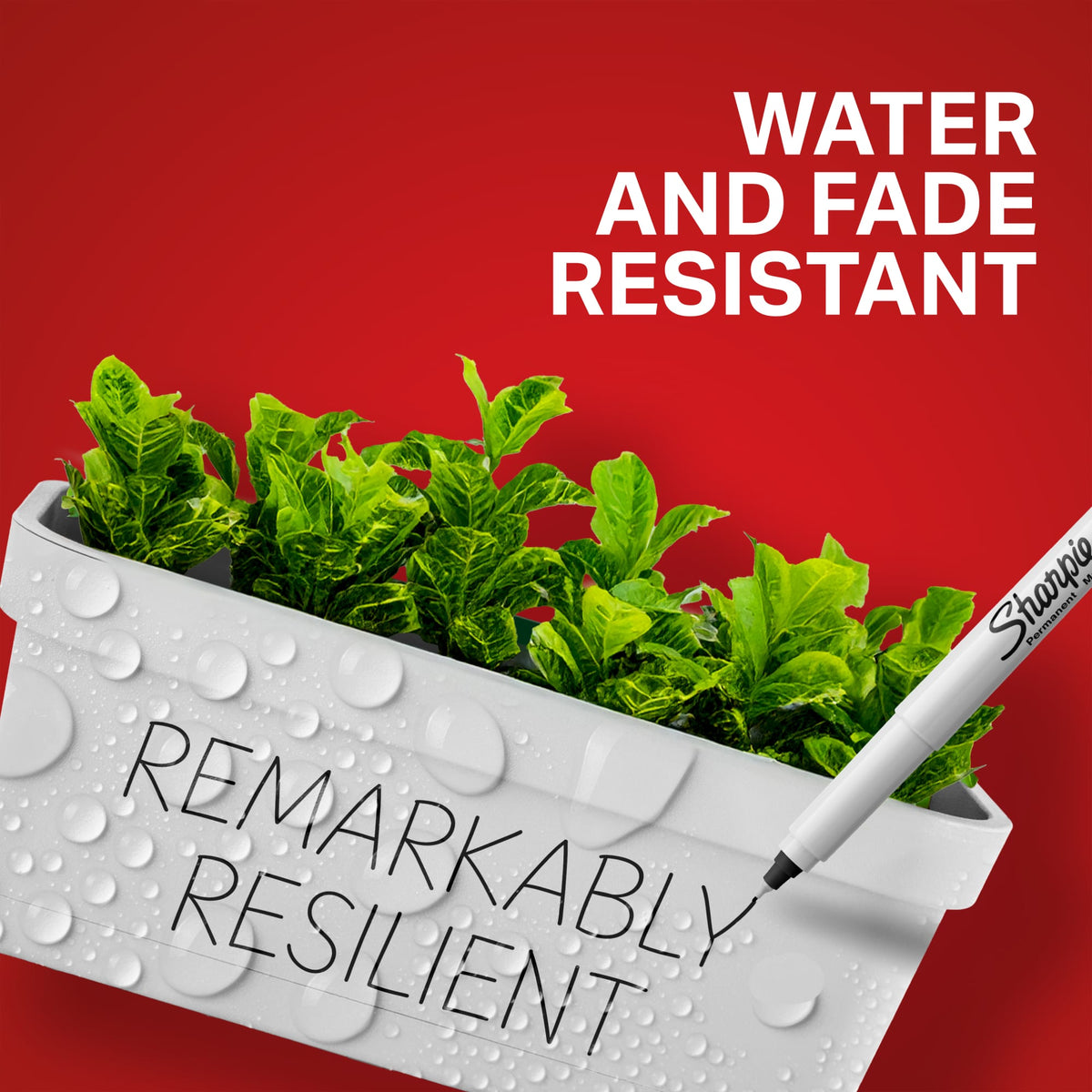 Sharpie feature graphic reading Water and fade resistant, Remarkably resilient, written on a wet plant pot.