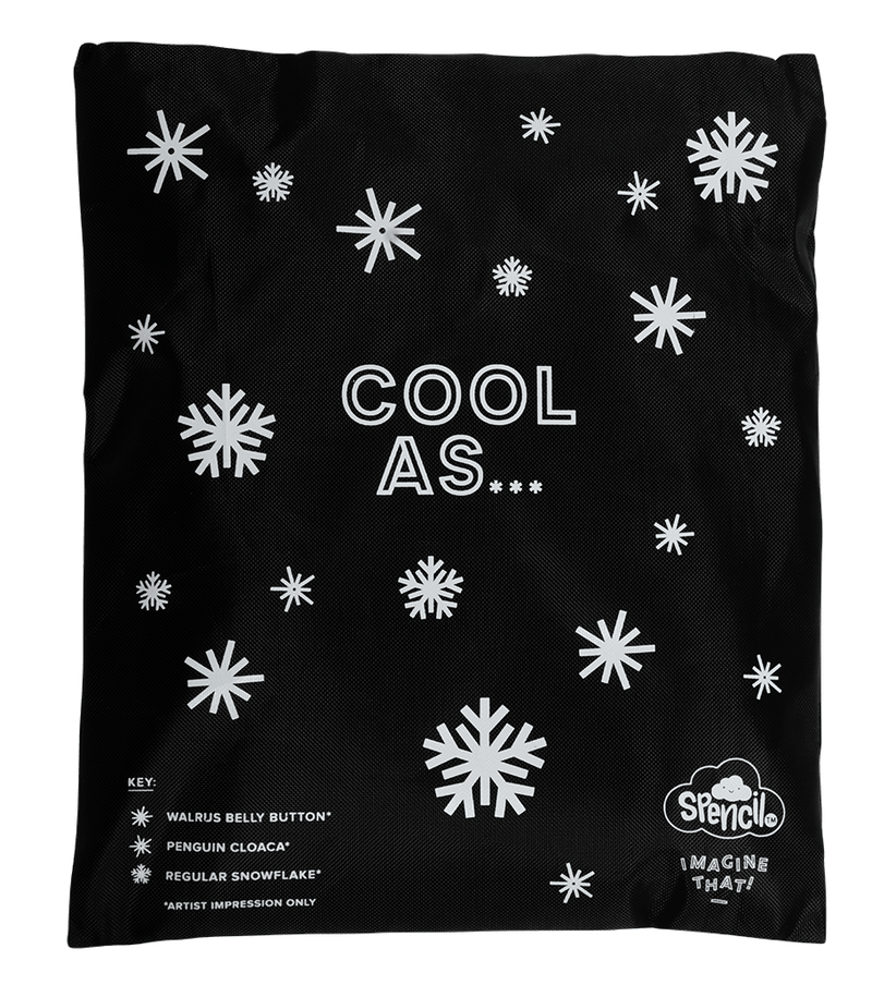 Big Chill Pack in its black fabric cover printed with white snowflakes and the words Cool As, supplied with the Spencil Moto Camo Trax lunch bag